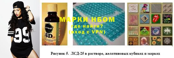 твердый Медногорск
