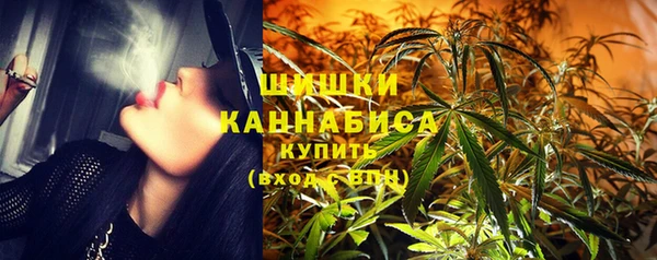 дмт Богородицк