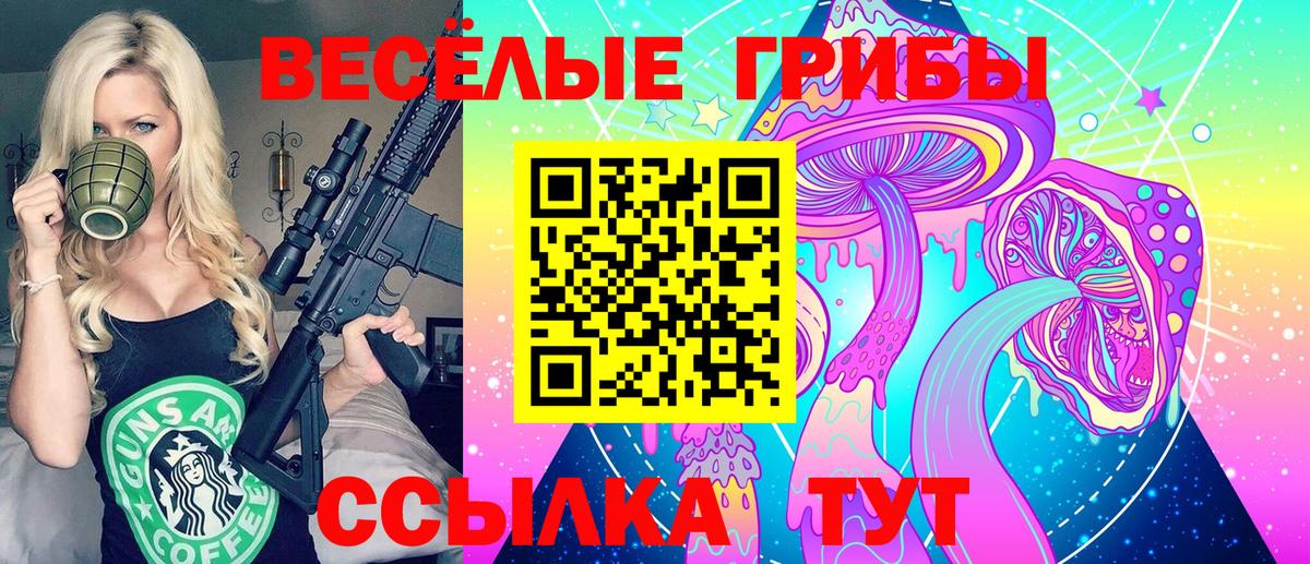 Галлюциногенные грибы MAGIC MUSHROOMS Тайшет
