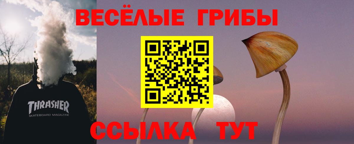 Псилоцибиновые грибы мицелий  Тайшет  Псилоцибиновые грибы MAGIC MUSHROOMS 